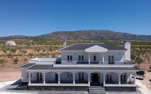 Villa in Pinoso (N7759)