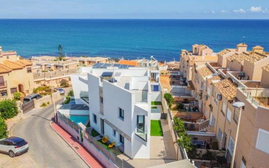 Villa in Torrevieja (N6041)