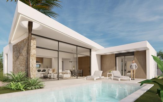 Villa in Molina De Segura (N7656)