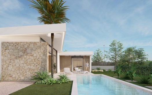 Villa in Molina De Segura (N7656)