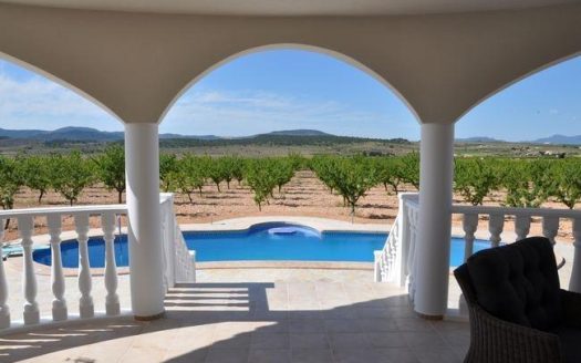 Villa in Pinoso (N8297)