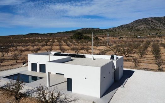 Villa in Pinoso (N8296)