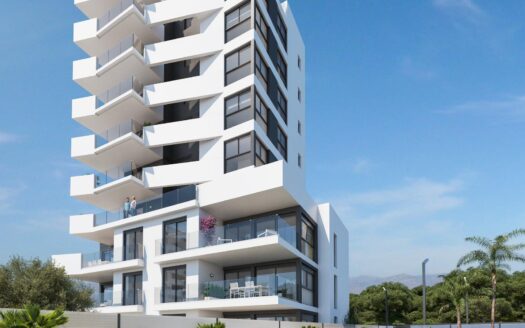 Apartment in Guardamar del Segura (N8067)