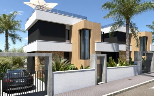 Villa in Ciudad Quesada (N8543)