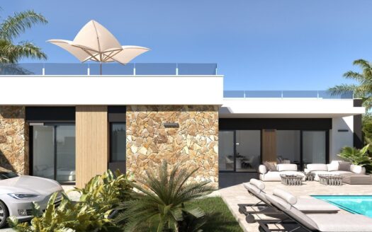 Villa in Ciudad Quesada (N8544)