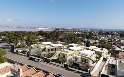 Villa in Torrevieja (N8675)